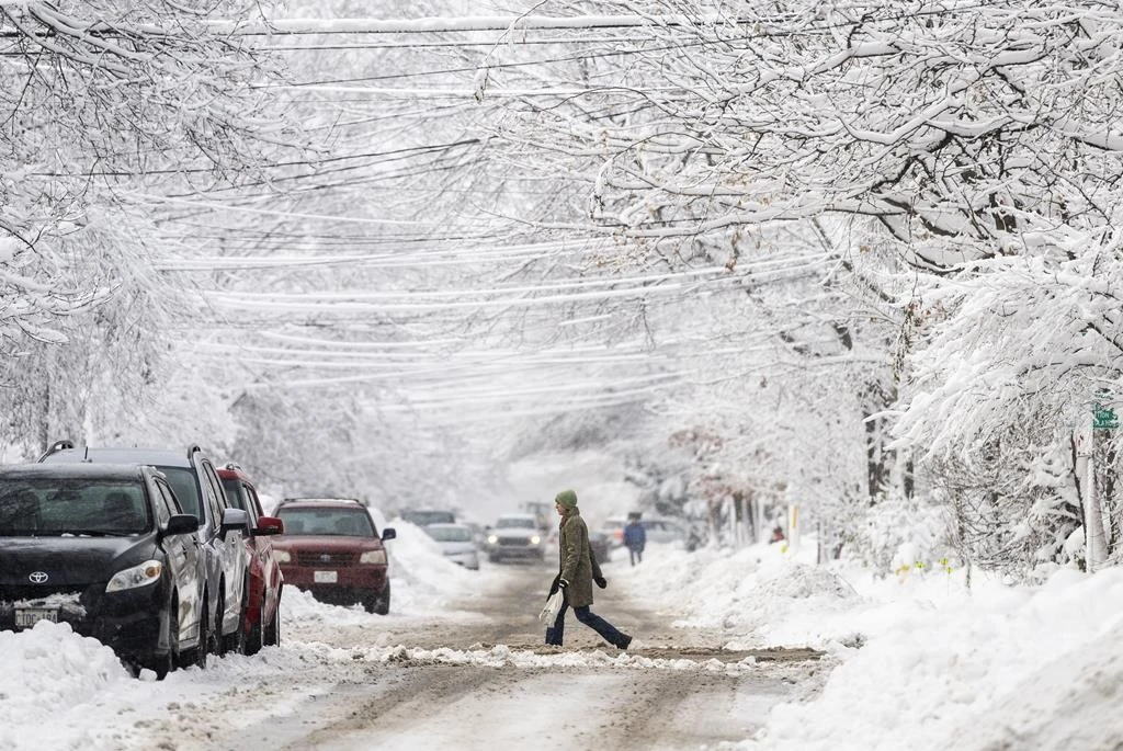 Winter storm warning issued for London, Ont. region: Environment Canada's Cover Image